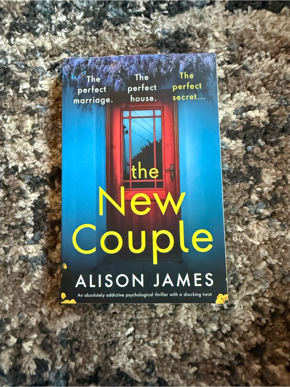 The New Couple by Alison James - Blue & Red Thriller Paperback